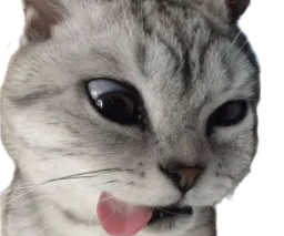 :Chat_cash_:
