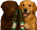 :teddibiere: