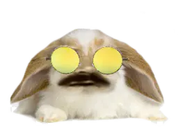 :Lapin_Belier_Lunettes_Jaunes: