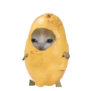 :Potato_cat: