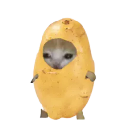 :Potato_cat: