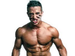 :tiboInshape: