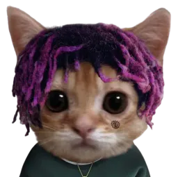 :chat_thug: