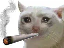 :chat_pleur_joint_: