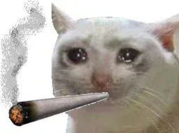 :chat_pleur_joint_: