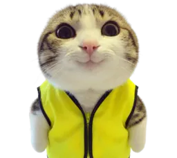 :chat_marrant_GJ: