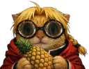 :Edward_chat_lunette_ananas:
