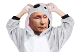 :Vladimir_P_Koala: