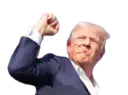 :celestrump:
