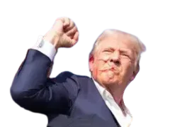 :celestrump: