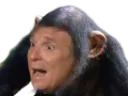:singeah: