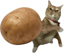 :chatpdt: