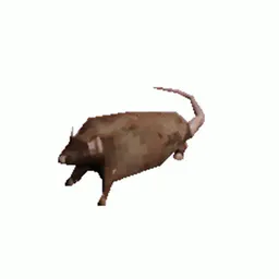 :rat-gif: