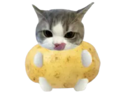 :ChatPatate: