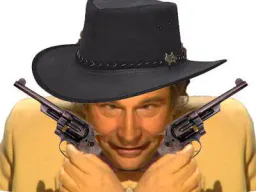 :Cowboy_tare: