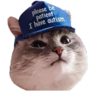 :autiste-chat:
