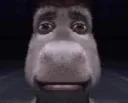 :Chat_ane_Shrek_copain: