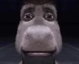 :Chat_ane_Shrek_copain: