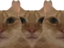:chat_triple: