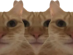 :chat_triple: