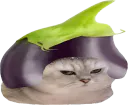 :chatbrushingaubergine: