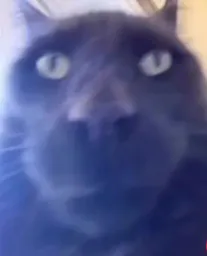 :chat_1: