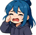 :Nihaouu_pleure: