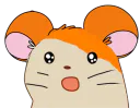 :Hamtaro_shock: