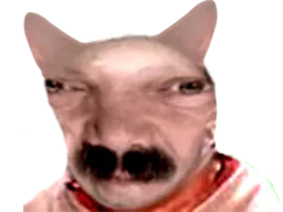 :miaouimmonde: