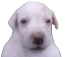 :Purer: