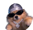:doggo_gansta: