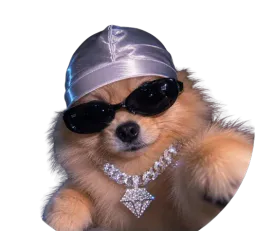 :doggo_gansta: