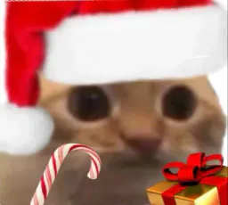 :chat_limite_noel_2: