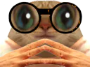 :chatpointilleux: