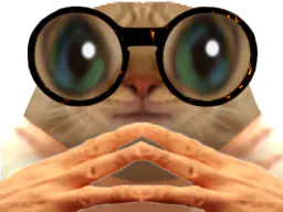 :chatpointilleux:
