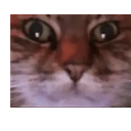 :wrex_inverse: