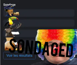 :SONDAGED_3:
