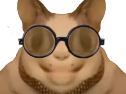 :chat_flippant_lunettes: