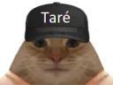 :chatare:
