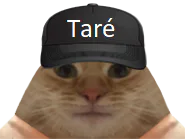 :chatare: