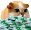 :Chamster_casino: