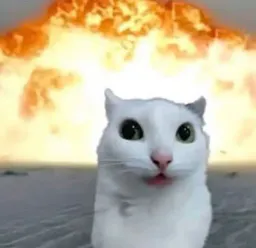 :chat_zieute_explosion: