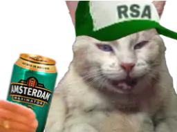 :rsachat: