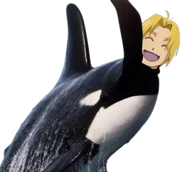 :Edward_baleine_: