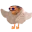 Photo de profil de Bobcotlepulco