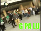:G_palu: