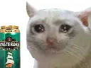 :chamsterdamer: