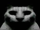 :chat_sombre:
