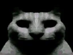 :chat_sombre: