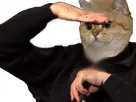 :sodium_cherche: